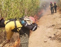 Fue llevado ante el MP el hombre acusado de prenderle fuego al Cerro Viejo. ESPECIAL