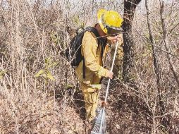Los brigadistas apagaron el incendio forestal en el Cerro Viejo. ESPECIAL