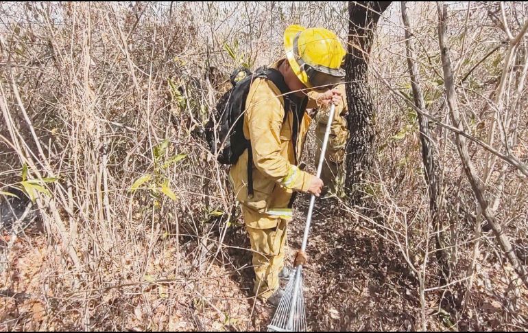 Los brigadistas apagaron el incendio forestal en el Cerro Viejo. ESPECIAL