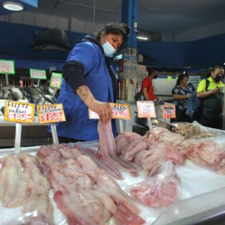 ¿Te intoxicaste tras comer pescado? Sigue estas recomendaciones