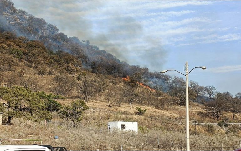 Para contener el incendio se utilizaron las aeronaves Zeus de la Policía de Guadalajara, Halcón y Tláloc, de Bomberos de Zapopan. ESPECIAL