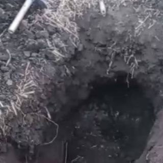 Localizan cuerpos de tres personas en fosa clandestina en Irapuato