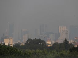 Algunas partículas que circulan en el aire se unen con material genético y se forman aductos de hidrocarburos aromáticos policíclicos. EFE/M. Guzmán