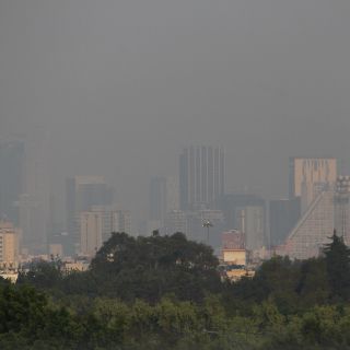 Bebés de CDMX tienen en sus genes "huellas" de la polución