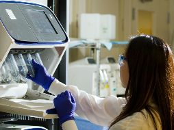 Los autores reconocen las preocupaciones éticas sobre este tipo de investigaciones. (Imagen de archivo) ESPECIAL/UNSPLASH