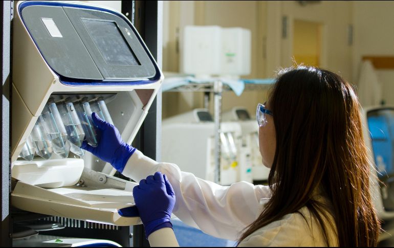 Los autores reconocen las preocupaciones éticas sobre este tipo de investigaciones. (Imagen de archivo) ESPECIAL/UNSPLASH