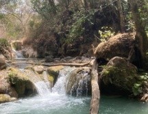 Las cascadas de Comala, en Chiquilistlán. EL INFORMADOR/F. Salcedo