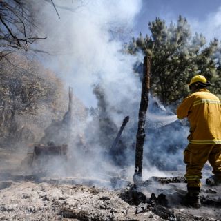 Han combatido 417 incendios en lo que va del año en Jalisco: Semadet