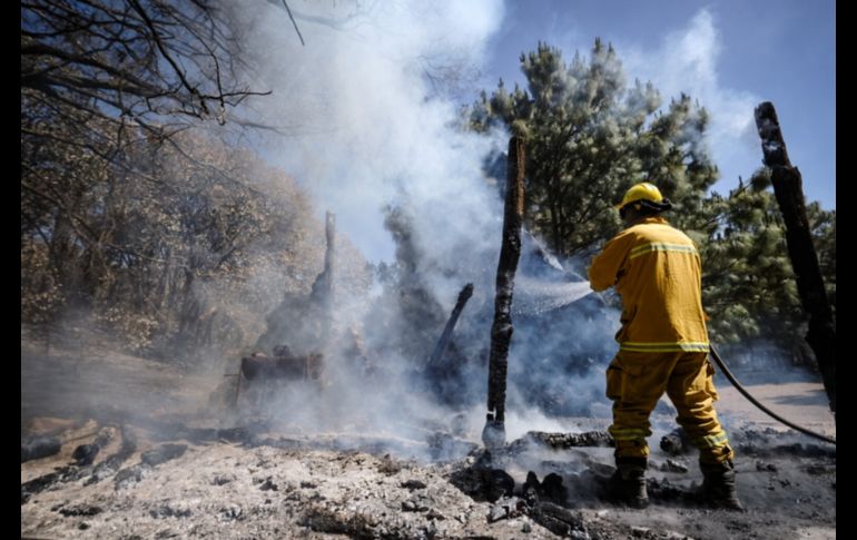 Jalisco es una de las entidades con más hectáreas dañadas por incendios. ESPECIAL