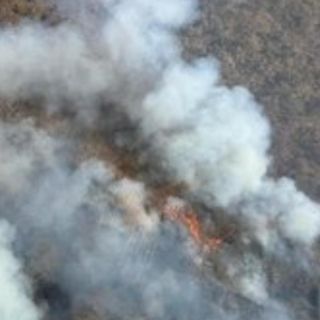 Combaten incendio dentro del ANP en La Primavera