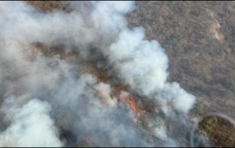 El incendio está activo y comenzó alrededor de las 16:00 horas. ESPECIAL