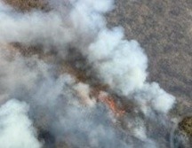 El incendio está activo y comenzó alrededor de las 16:00 horas. ESPECIAL