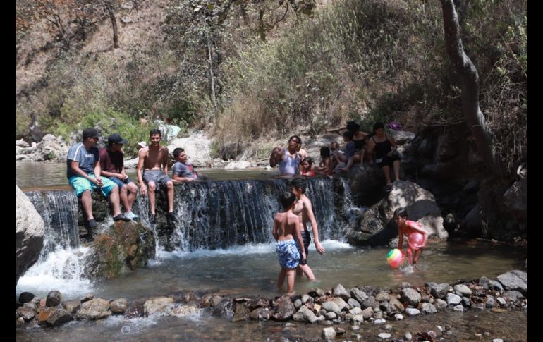 El Río Caliente se encuentra dentro del ANP de La Primavera. EL INFORMADOR / CARLOS ZEPEDA