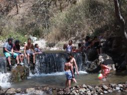 El Río Caliente se encuentra dentro del ANP de La Primavera. EL INFORMADOR / CARLOS ZEPEDA