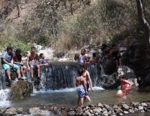 El Río Caliente se encuentra dentro del ANP de La Primavera. EL INFORMADOR / CARLOS ZEPEDA