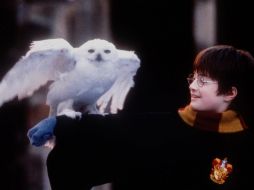 La saga cinematográfica de Harry Potter ha sido uno de los grandes éxitos de todos los tiempos. AP / ARCHIVO