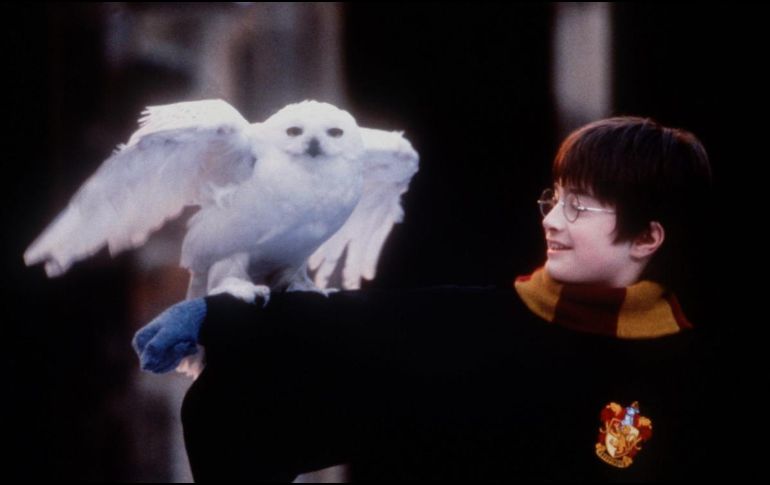 La saga cinematográfica de Harry Potter ha sido uno de los grandes éxitos de todos los tiempos. AP / ARCHIVO