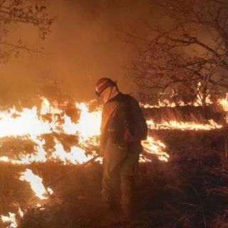 Controlan incendio forestal en el ejido de Santa Cruz, del Bosque La Primavera