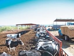 La Financiera daba créditos a los campesinos y ganaderos. SUN