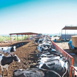 Diputados reciben propuesta de AMLO para desaparecer la FND