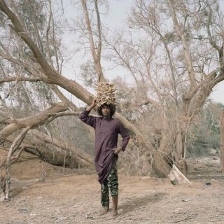 Las imágenes ganadoras de los premios de fotografía Sony World Photography Awards 2023