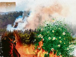 Aunque hoy en día gran parte de los incendios forestales son antropogénicos, el fuego ha estado presente en los ecosistemas terrestres durante 400 millones de años. ESPECIAL/C. Yaver