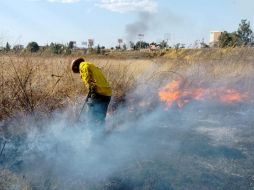 El incendio reportado en El Bajío fue controlado. ESPECIAL