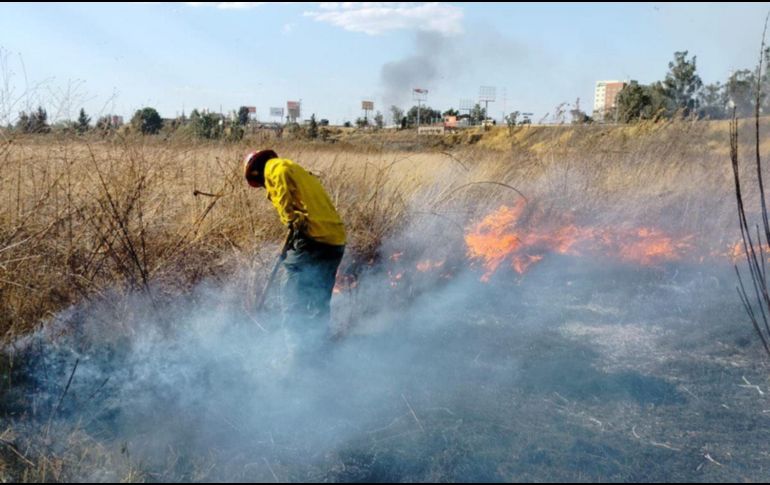 El incendio reportado en El Bajío fue controlado. ESPECIAL
