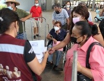 El nuevo registro para la pensión del Bienestar será del 17 al 29 de abril. EL INFORMADOR/ ARCHIVO