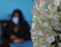 Sonia resalta que ella ha tenido que ir a recabar pruebas porque no se ha realizado bien la investigación. SUN/ARCHIVO