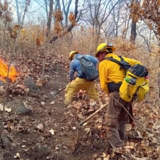 Combaten incendio forestal en Cerro de Totoltepec en Tlajomulco