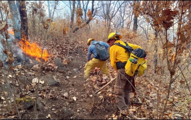 Brigadistas luchan contra el fuego en el cerro de Totoltepec, en Tlajomulco.ESPECIAL