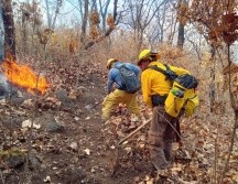El año pasado, Jalisco cerró en el tercer sitio, con 82 mil 722 hectáreas afectadas. ESPECIAL