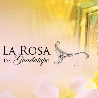 ¡Te equivocaste de carrera! Esto es lo que pagan por actuar en "La Rosa de Guadalupe"