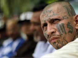 Mara significa pandilla, trucha es inteligente y salva, de El Salvador: Mara Salvatrucha. SUN