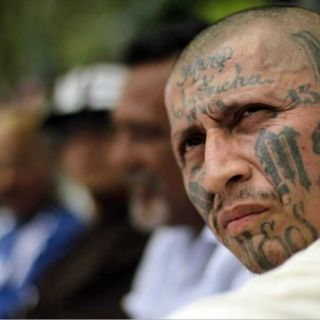 ¿Qué es la Mara Salvatrucha y qué significa el número 13 para los pandilleros?