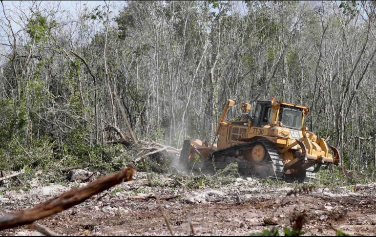 El fallo representa un nuevo revés al Tren Maya, obra emblemática del Presidente Andrés Manuel López Obrador. SUN/ARCHIVO