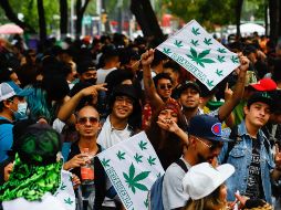 El uso lúdico de la marihuana es ilegal en Jalisco. SUN/ ARCHIVO