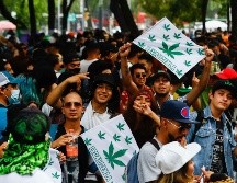 El uso lúdico de la marihuana es ilegal en Jalisco. SUN/ ARCHIVO
