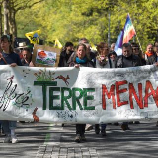 ¿Por qué se celebra hoy el Día de la Tierra?