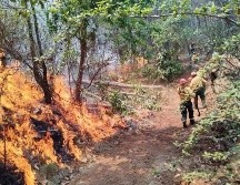 Entre el 1 de enero y el 20 de abril, en Jalisco van 445 incendios forestales. ESPECIAL/Semadet