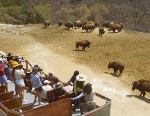 Destinos increíbles para viajar con niños