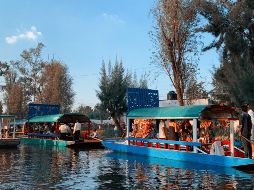 Autoridades no han emitido reportes oficiales de lo ocurrido en Xochimilco. ESPECIAL/Foto de Yulya Kleshcheva en Unsplash