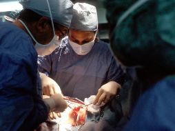 Foto de National Cancer Institute en Unsplash