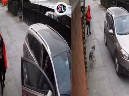 Una cámara de seguridad captó los hechos y se hizo viral en Twitter. ESPECIAL