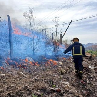 Así se ve la contingencia ambiental en la ZMG