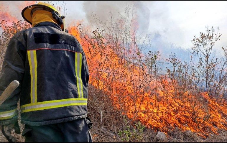 Debido a la mala calidad del aire, Semadet ha activado la Alerta Atmosférica para los municipios de Guadalajara, Zapopan y Tala. TWITTER/ @UMPCyBZ