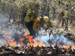 Los estudiantes con enfermedades respiratorias tendrán la falta justificada. EFE/ ARCHIVO