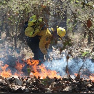 ¿A qué hora regresan a clases las escuelas de UdeG tras contingencia?
