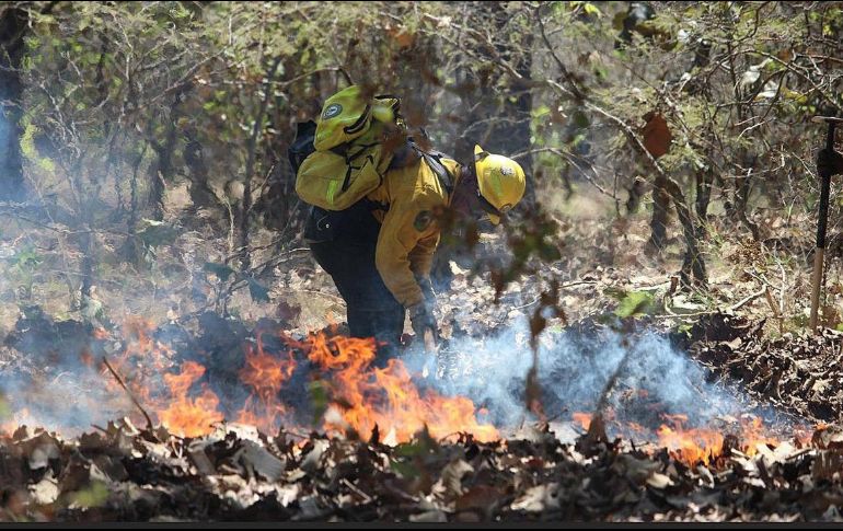 Los estudiantes con enfermedades respiratorias tendrán la falta justificada. EFE/ ARCHIVO